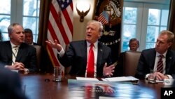 Acting Secretary of the Interior David Bernhardt, left, and acting Secretary of Defense Patrick Shanahan, right, listen as President Donald Trump speaks during a Cabinet meeting at the White House, Jan. 2, 2019, in Washington.