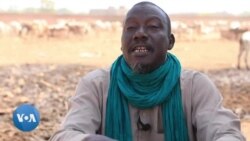 Au Mali, des marchés de bétails ferment après les attaques de septembre