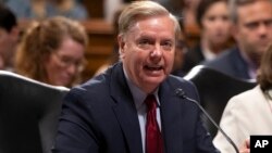 سناتور جمهوریخواه لیندزی گراهام - آرشیو