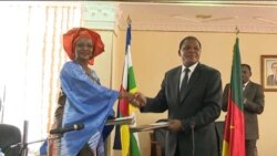 Concertations sur la démarcation des frontières entre le Cameroun et la RCA
