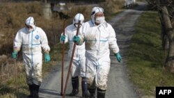 Yaponiyada yana zilzila, Fukushima atrofida jasadlar qidirilmoqda