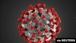 The ultrastructural morphology exhibited by the 2019 Novel Coronavirus, which was identified as the cause of an outbreak of respiratory illness first detected in Wuhan, China, is seen in an illustration released by CDC in Atlanta, Georgia, Jan. 29, 2020.