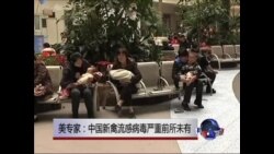 美专家：中国新禽流感病毒严重前所未有