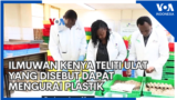 Ilmuwan Kenya Teliti Ulat yang Disebut Dapat Mengurai Plastik