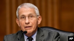 FILE - Dr. Anthony Fauci speaks during a Senate Health, Education, Labor and Pensions Committee hearing while he was director of the National Institute of Allergy and Infectious Diseases, May 11, 2021. (Greg Nash/Pool via AP)
