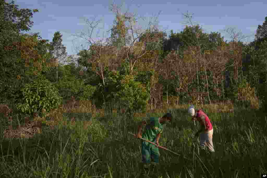 The Bonn Challenge is a global movement launched at a ministerial conference in Bonn in 2011 to restore 150 million hectares of degraded and deforested land by 2020. People work on a reforestation project in the Atlantic Forest region of Silva Jardim, Brazil. 