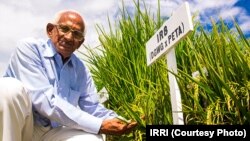 Indian Farmer Nekkanti Subba Rao
