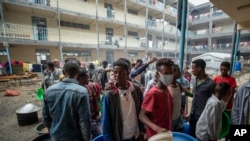 Namoota qehee irraa buqahani Mana Barumsaa Hadneet keessa keessa daheeffatanii jiran, Caamsaa 5, 2021