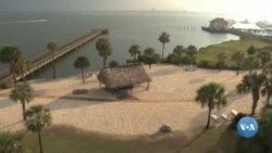 Amerikaga sayohat: Charlston