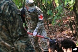 Seorang tentara mengeluarkan mayat monyet yang mati di tengah suhu yang sangat tinggi di Tecolutilla, negara bagian Tabasco, Meksiko, 21 Mei 2024. (Foto: AP)