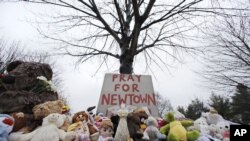 Connecticut School Massacre