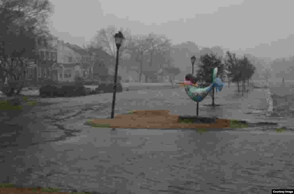 When it floods in Norfolk everyone suffers as the region is flat, the legacy of a meteor that hit southeastern Virginia 35 million years ago. (Credit: Skip Stiles)