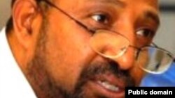 ዶ/ር ብርሃኑ ነጋ - የግንቦት ሰባት ሊቀመንበር