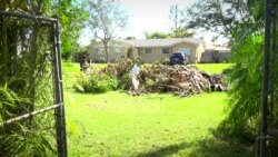 ถอดบทเรียนจากพายุ 'เออร์มา' : รับมือเฮอร์ริเคนอย่างไรถึงปลอดภัย