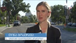 თინა ბოკუჩავა ვაშინგტონში ვიზიტის შესახებ საუბრობს