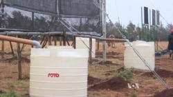 Fog Collector Transforming Maasai Water Harvesting in Kenya