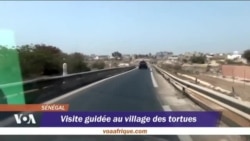 Visite guidée au village des tortues