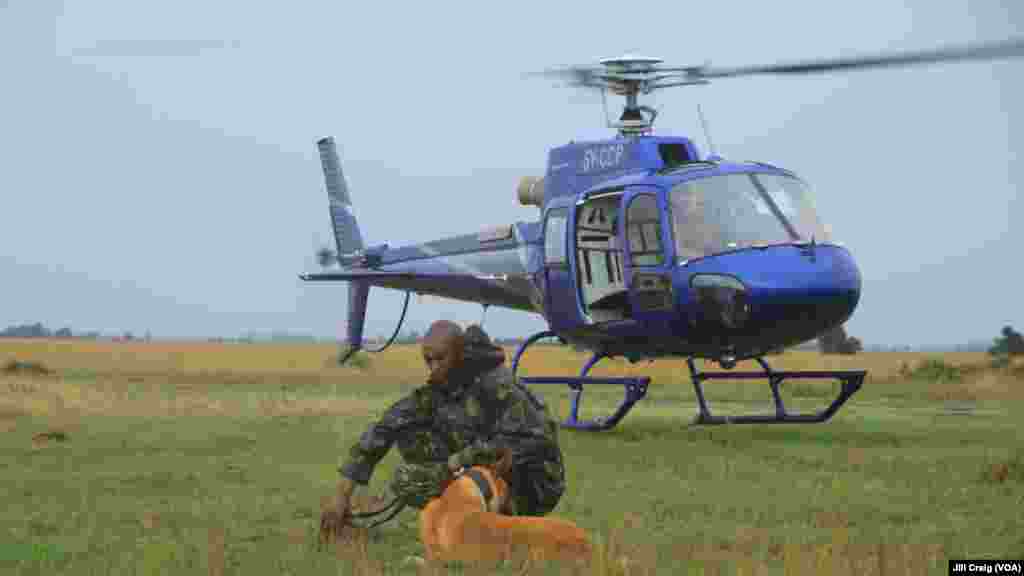 Kenyan Police Reservists demonstrate Rapid Response Team actions to fight poaching at Ol Pejeta conservancy, in Laikipia Plateau, Kenya, April 28, 2016. Teams consist of rangers, a tracker dog and helicopter support. 