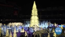 Christmas Lights Illuminate the Heart of Washington, D.C.