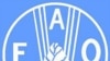 UN Report: Higher Food Prices Here to Stay