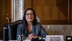 دب هالند ۶۰ ساله، پیش از رسیدن به وزارت، به عنوان یک دموکرات از ایالت نیومکزیکو عضو مجلس نمایندگان آمریکا بود. 