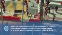 Fakkiileen Jechoota “Bilaak Laayivz Maater” Jedhuun Daandii Waayit Haawusitti Dhihoo Jirurratti Barreeffaman Kaleessaa Haqamuu Eegalan