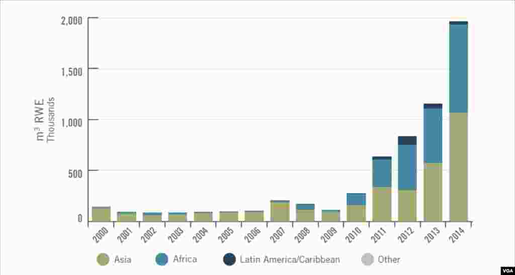 Importation chinoise globale de bois de Vène depuis 2000 (Douanes Chinoises)