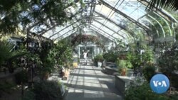 US Botanic Garden Bicentennial WEB