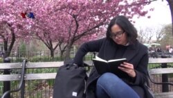 Rifda Amalia, Mahasiswi Indonesia Raih Gelar Master of Arts in Museum Studies di NYU