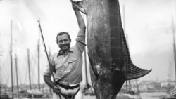 ერნესტ ჰემინგუეი ქი-ვესთზე. ფლორიდის შტატი, აშშ, 1934 წ.