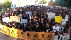 海外华人声援香港第二波