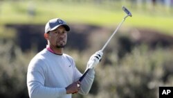 Tiger Woods walks on the 13th fairway of the North Course during the second round of the Farmers Insurance Open golf tournament at Torrey Pines Golf Course in San Diego, California, Jan. 27, 2017. It was Woods' first appearance of the season, and he missed the cut.