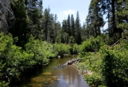 FILE - The North Fork of Prosser Creek flows through the Lower Carpenter Valley in the Sierra Nevada Mountains near Truckee, Calif., July 25, 2017.