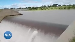 Izakhamizi Zithi Beselileminyaka Emithathu Lingakaze Ligcwale Idamu le Insukamini 