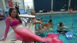 “เงือก” ทั่วโลกมารวมตัวกันที่กรุงวอชิงตัน