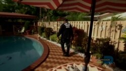 Florida Officials Seek Federal Help to Prevent Spread of Zika