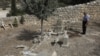 Christian Graves Desecrated in Central Israel