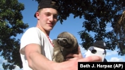 This Dec. 29, 2013 photo shows Nathaniel Harpaz, a tourist from New York City, holding a sloth in Puerto Alegria on the Peruvian side of the Amazon, just across the river from Colombia.