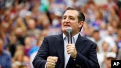 Kruz Nyu-Yorkda sobiq mer Maykl Blumberg paytida amalga oshirilgan o'xshash tashabbusni misol qildi. O'sha dastur Nyu-Yorkda 2001-yilning 11-sentabrida sodir etilgan xurujlar ketidan musulmon jamoalari orasida yo'lga qo'yilgan, rasmiylar terrorchilarni topish usullarini izlayotgan edi. Tashabbus keskin e'tiroz, bahslarga sabab bo'lib, oradan biroz vaqt o'tib tugatildi.