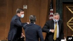 Senatdagi tinglov paytida