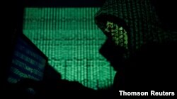 عکس تزیینی است.