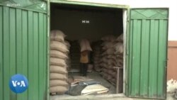 Ghana : Les pertes financières du secteur du cacao