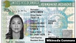 US Green Card sample 