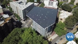 Seattle's Bullitt Center: A Green Building Inspiring Visitors