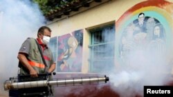 បុគ្គលិក​សុខាភិបាល​សហព័ន្ធ​ម្នាក់​ក្នុង​ប្រទេស​ប៉ារ៉ាហ្កាយ បាញ់​ថ្នាំ​កម្ចាត់​មូស​ខ្លា​ដែល​អាច​បង្ក​ជា​ជំងឺ​គ្រុនឈាម នៅ​ក្នុង​សាលារៀន​មួយ កាល​ពី​ថ្ងៃទី ១២ ខែកុម្ភៈ ឆ្នាំ​២០២០។ (REUTERS/Jorge Adorno) 