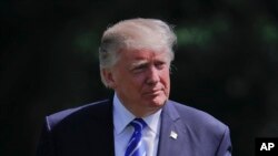 도널드 트럼프 미국 대통령.