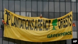 Para aktivis Greenpeace membentangkan poster di gedung Kementerian Kehutanan dan Lingkungan Hidup untuk memprotes dampak sektor perkebunan terhadap deforestasi, di Jakarta, 11 Maret 2010.