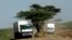 Trucks separate to avoid a tree on a major road from Nairobi, the capital of Kenya, to the sea port of Mombasa, Feb. 12, 2007.
