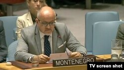 Crnogorski ministar vanjskih poslova Srđan Darmanović obraća se Savjetu bezbjednosti Ujedinjenih nacija, 28. jun 2017.