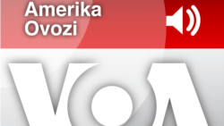 Kim qancha topayapti? Forbes reytingi / Navbahor Imamova